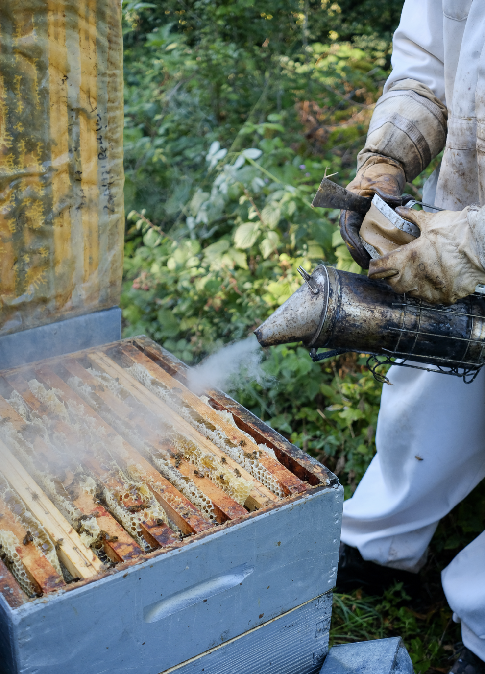 Capture d’écran 2023-09-07 à 13.41.48