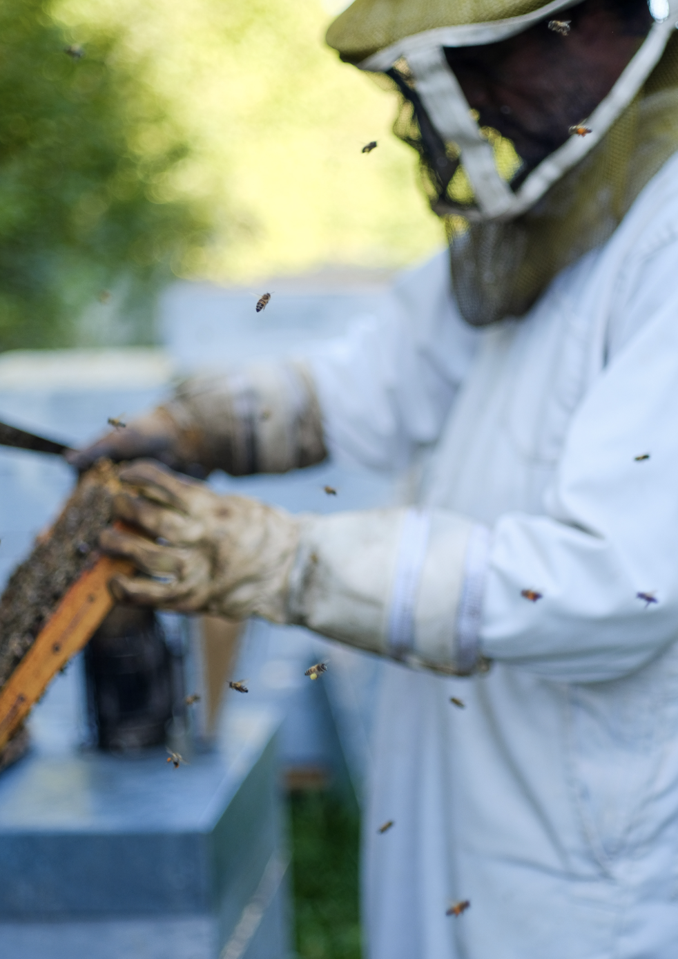 Capture d’écran 2023-09-07 à 13.42.05