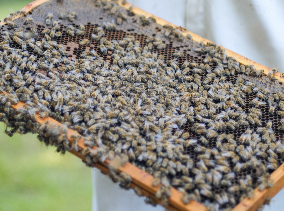 Capture d’écran 2023-09-07 à 13.42.11