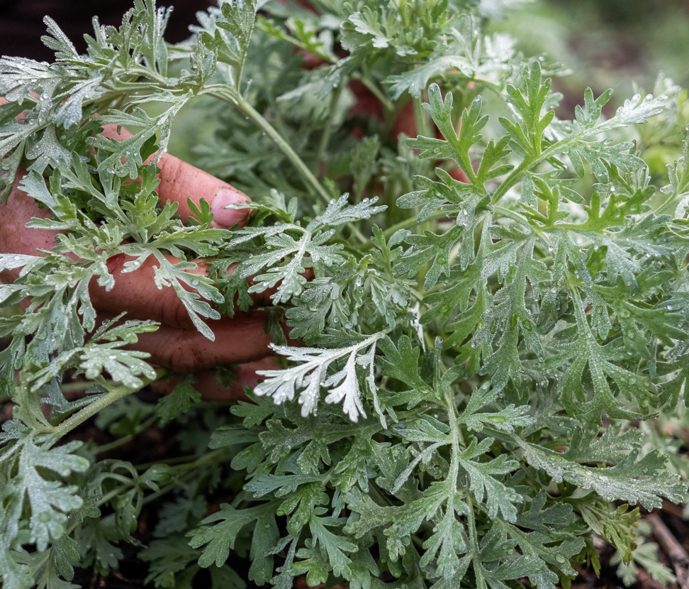 Capture d’écran 2023-09-07 à 13.42.28