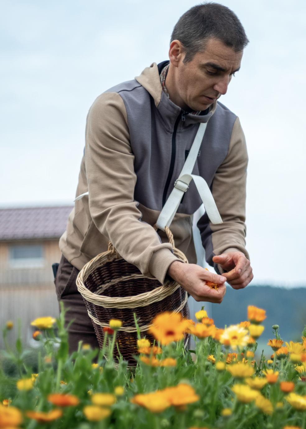 Capture d’écran 2023-09-07 à 13.42.37
