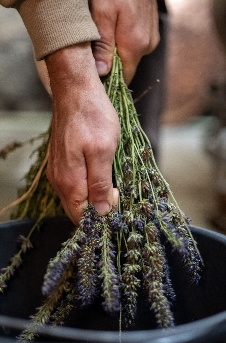 Capture d’écran 2023-09-07 à 13.42.52