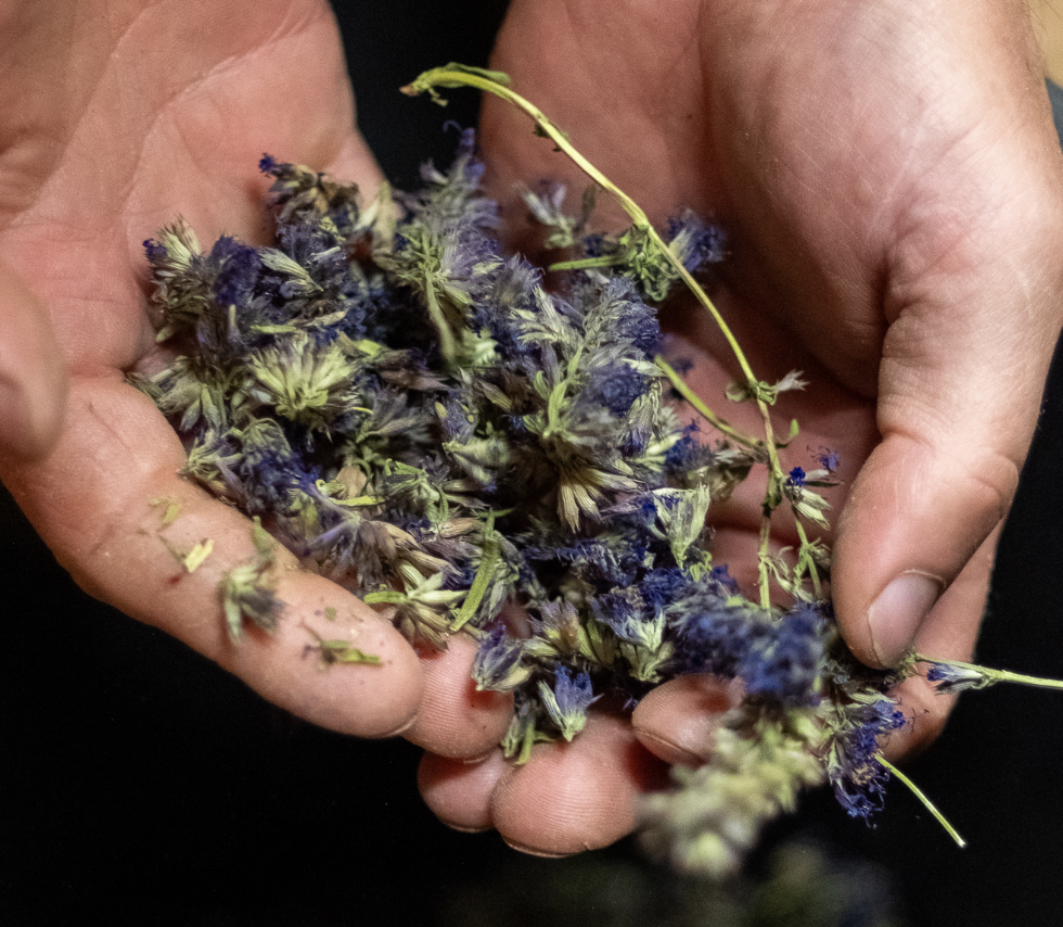 Capture d’écran 2023-09-07 à 13.42.57