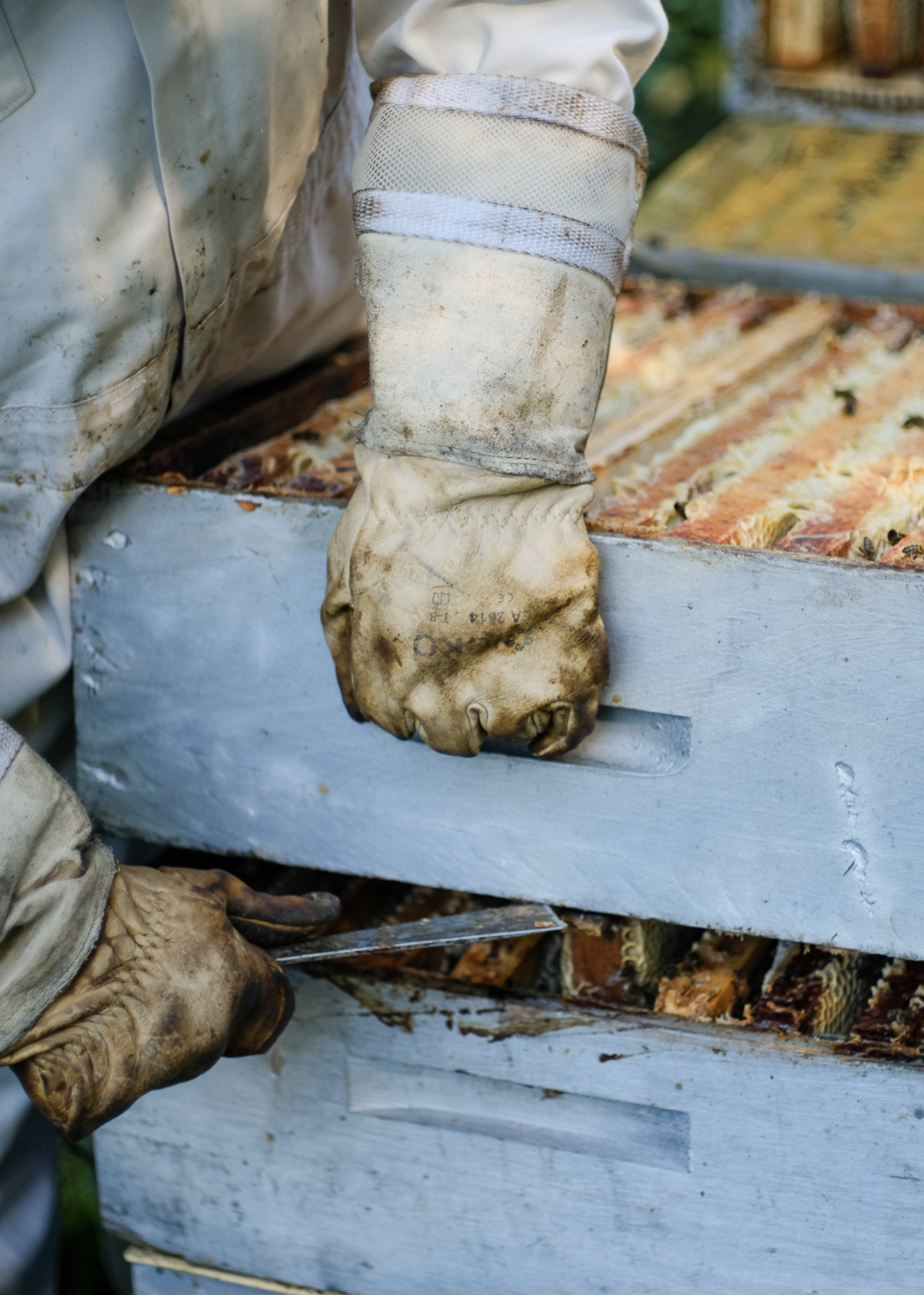 Capture d’écran 2023-09-20 à 14.09.24