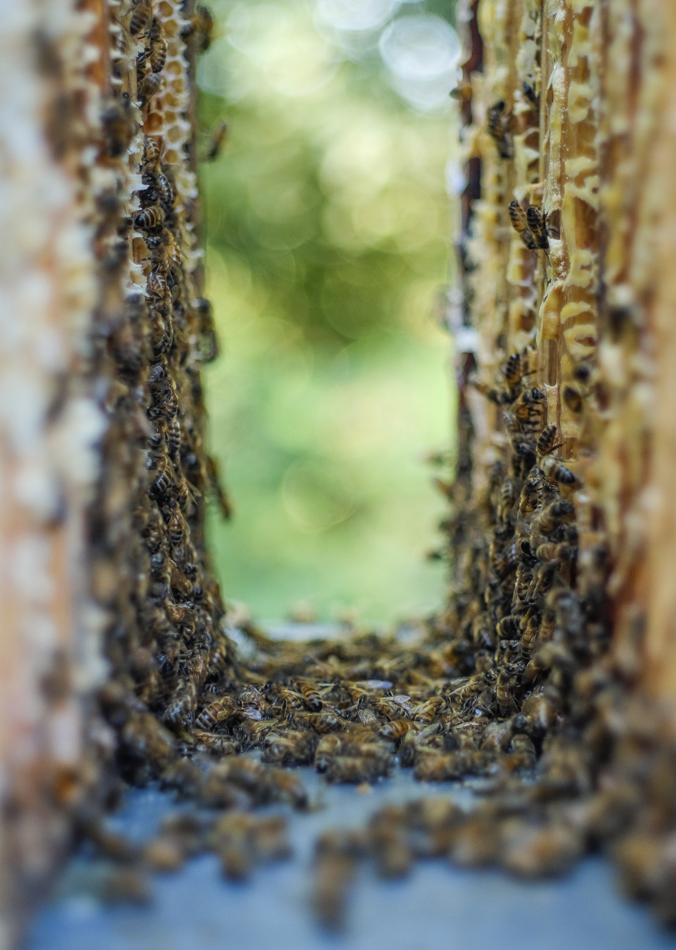 Capture d’écran 2023-09-20 à 14.15.46